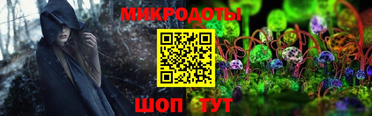 Медногорск  Галлюциногенные грибы Cubensis  Вход с VPN 